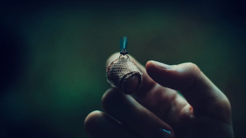 Dancing Fireflies